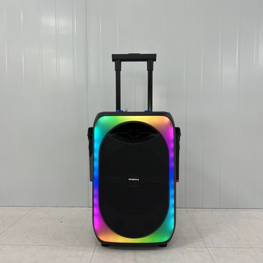 Enceinte Trolley 12 Pouces avec 2 Microphones