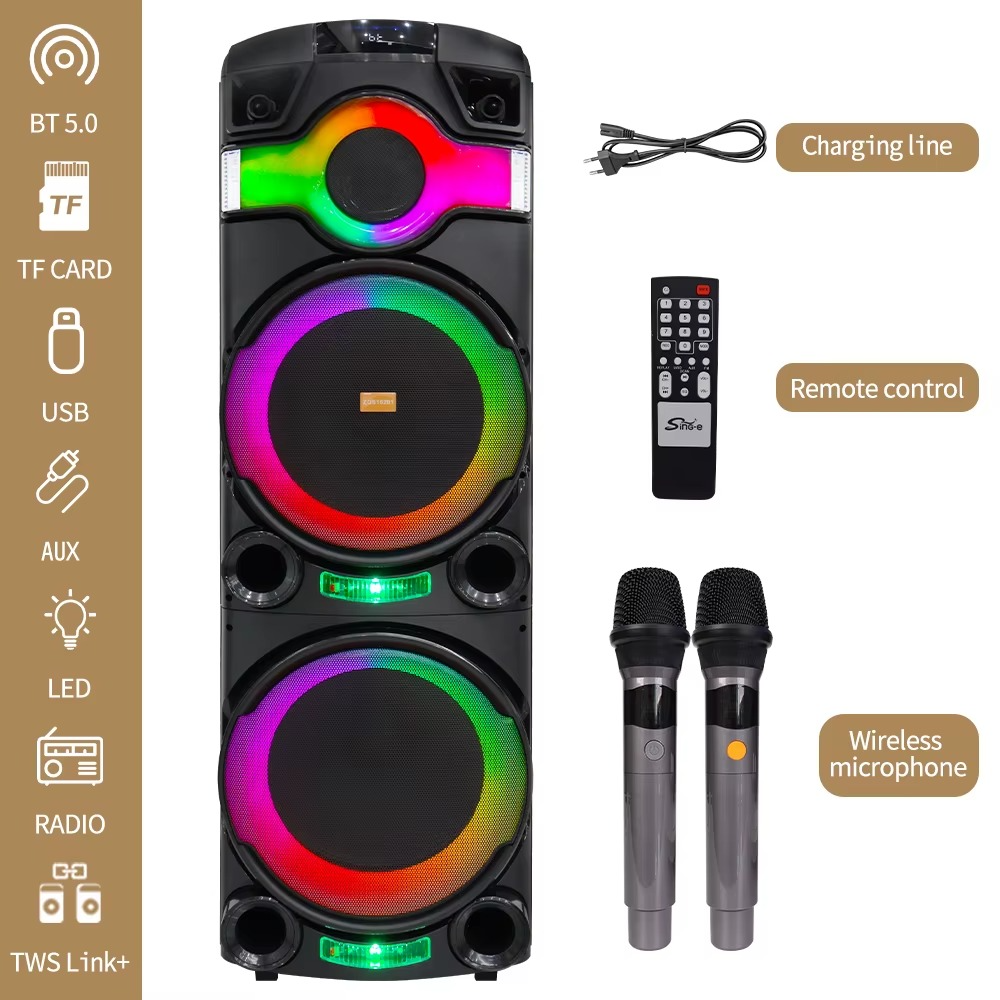 Haut-Parleurs Double Karaoké Haute Puissance