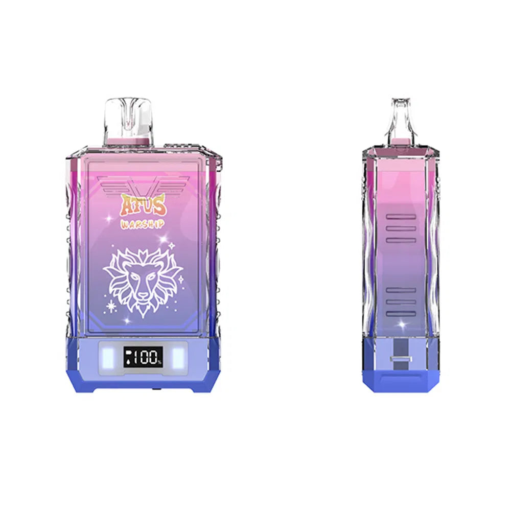 Chicha electroniques 19000 bouffées