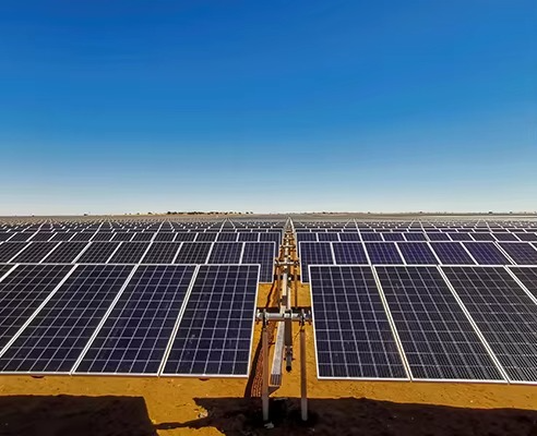 Panneaux solaires monocristallins haute efficacité