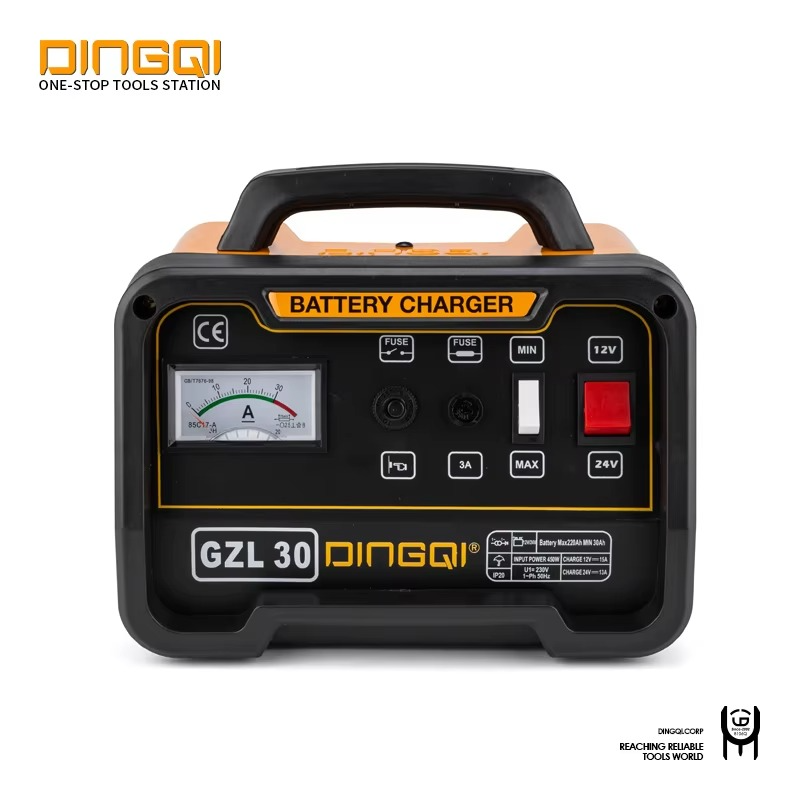 DINGQI - Chargeur de Batterie Professionnel