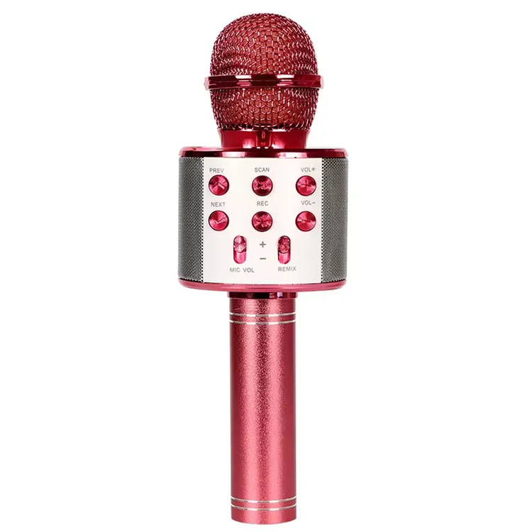 Microphone à main