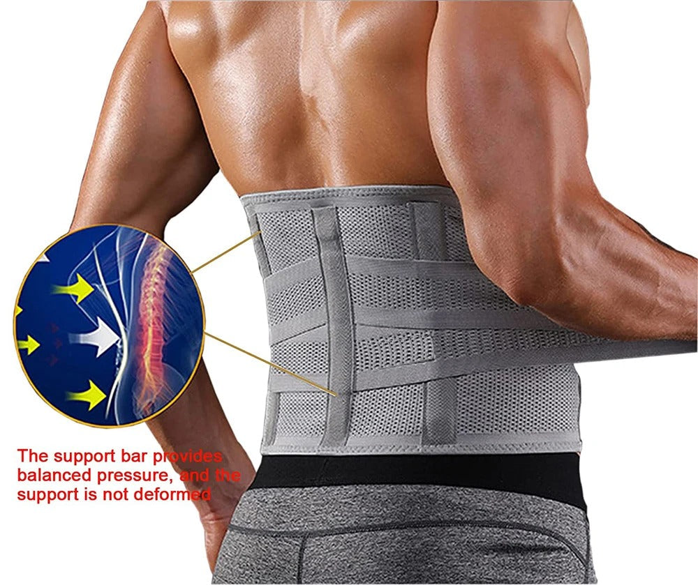 Attelle de soutien dorsal